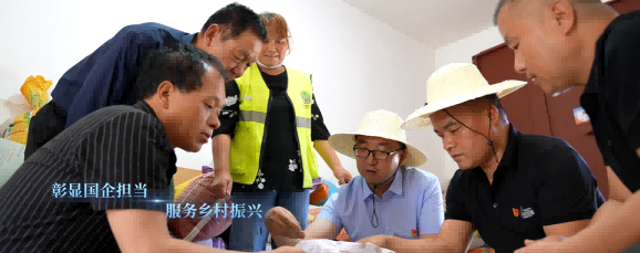 图片1(1).png